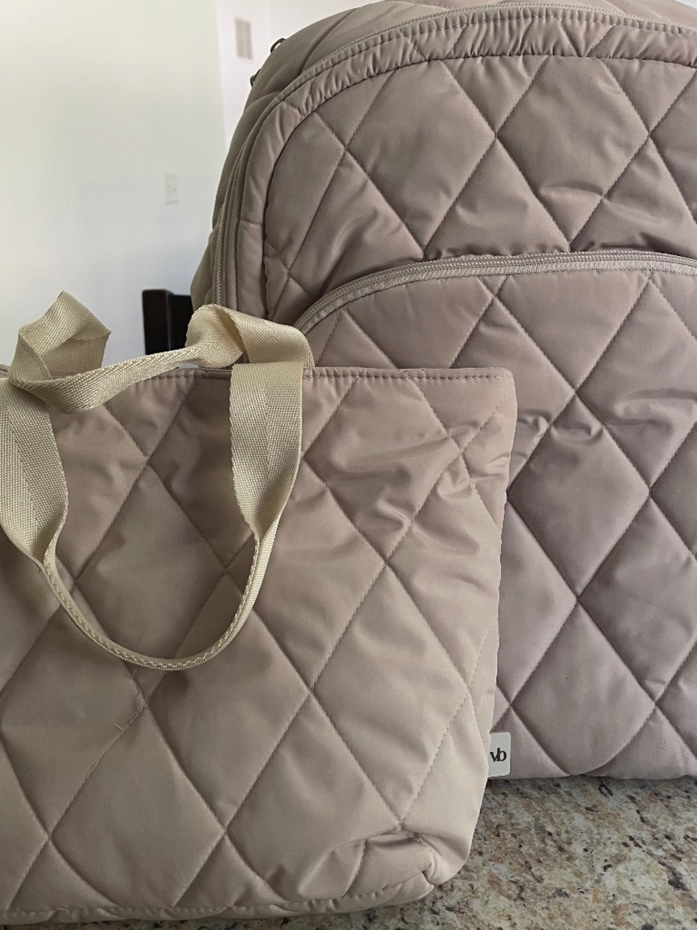 Vera Bradley Backpack and Lunch Tote
